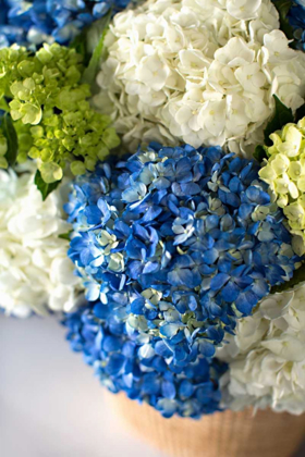 Picture of HYDRANGEA BOUQUET