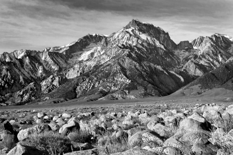 Picture of MT. WILLIAMSON II BW