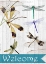 Picture of WELCOME DRAGONFLIES
