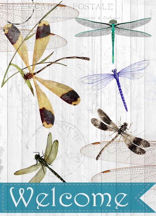 Picture of WELCOME DRAGONFLIES