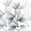 Picture of FROSTED DESIRES