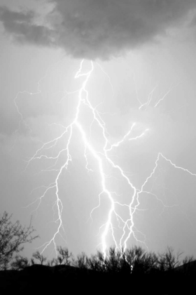 Picture of DANCING LIGHTNING BW