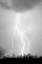 Picture of DANCING LIGHTNING BW
