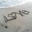 Picture of COASTAL LOVE