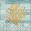 Picture of CLEARWATER CORAL III