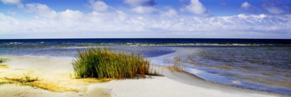 Picture of CEDAR ISLAND BEACH I