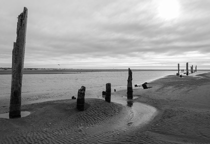 Picture of PACIFIC BEACH BW