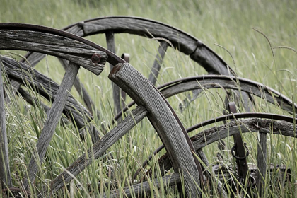 Picture of OLD WAGON WHEELS I