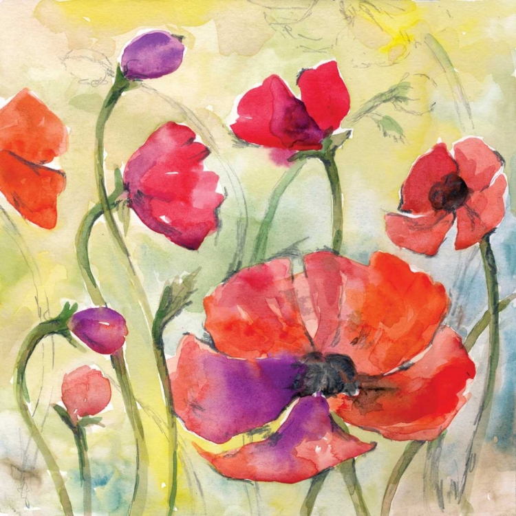 Picture of POPPY STUDY II