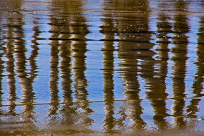 Picture of PIER REFLECTIONS II