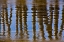 Picture of PIER REFLECTIONS II