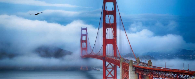 Picture of GOLDEN GATE BRIDGE II