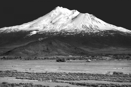 Picture of SHASTA COUNTY SPRING BW