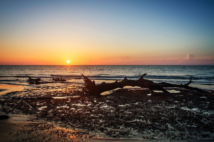 Picture of JEKYLL ISLAND SUNRISE IV