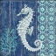 Picture of INDIGO SEA VI