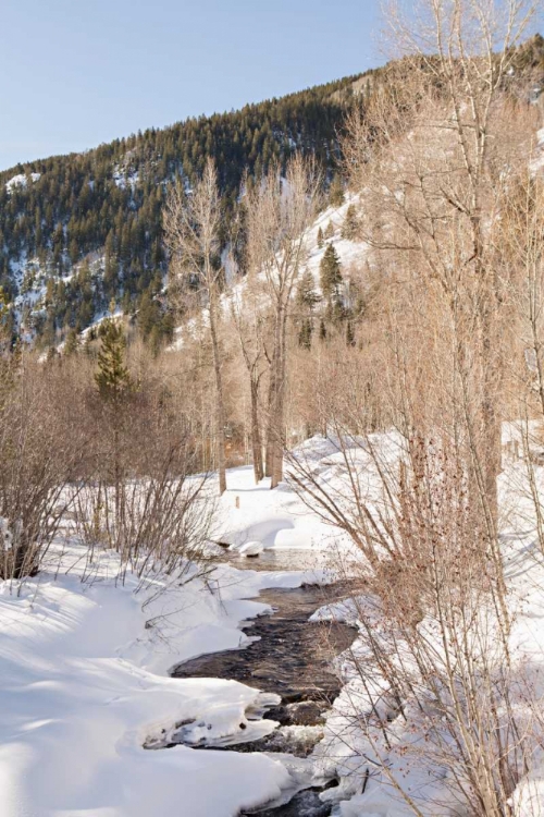 Picture of SNOW IN THE MOUNTAINS