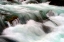 Picture of HAMMA HAMMA CURRENT IV