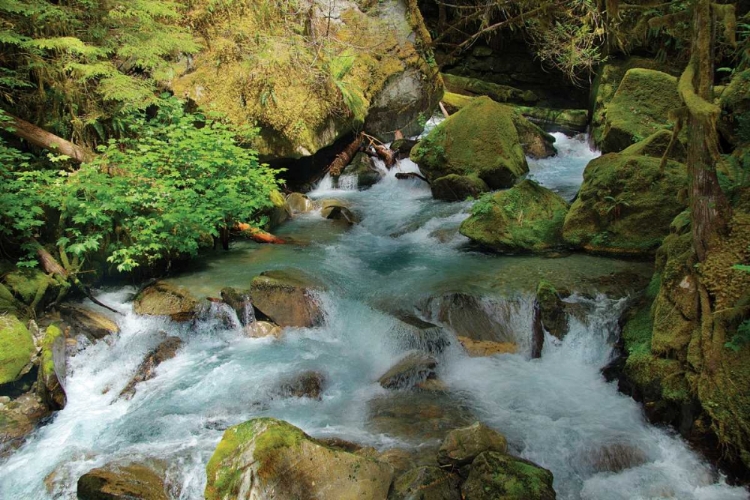 Picture of NORTH CASCADES NP I