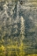 Picture of PAINT ON AN OIL DRUM I