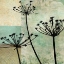 Picture of BOTANICAL SILHOUETTE I