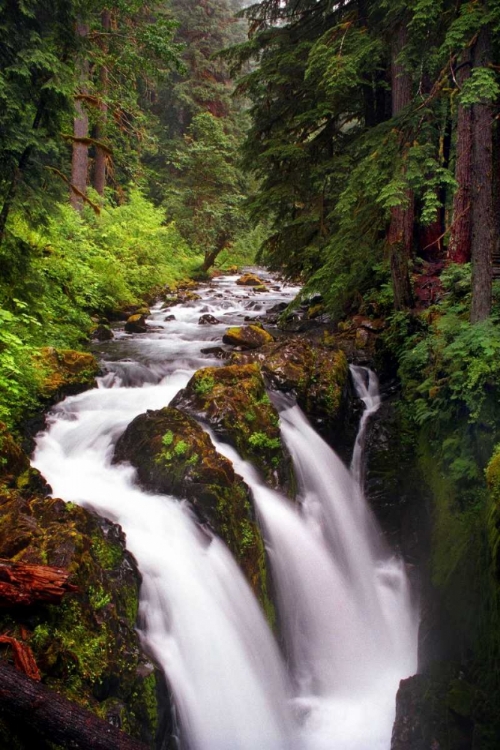 Picture of SOL DUC RIVER FALLS