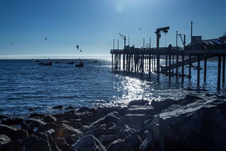 Picture of FISHING BOATS II