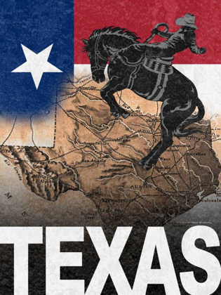 Picture of TEXAS