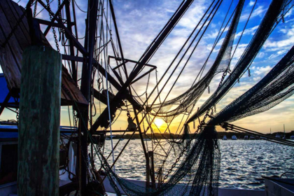 Picture of BEAUFORT DOCKS II