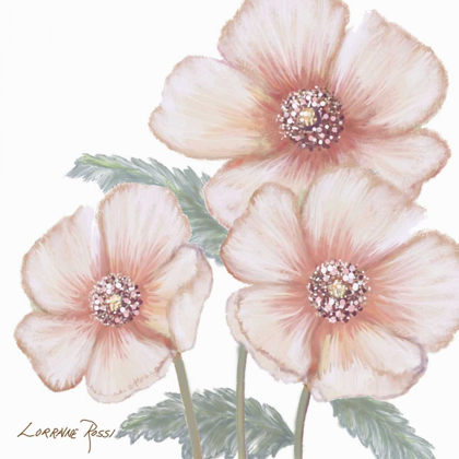 Picture of PINK POPPIES 1