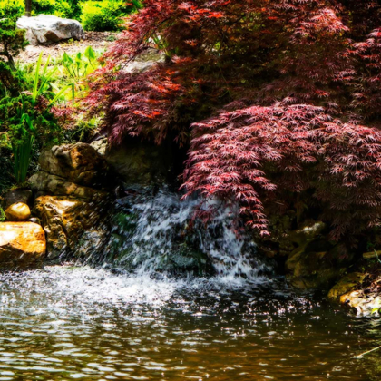 Picture of GENTLE WATERFALL II