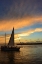 Picture of SUNSET SAIL PAINTING