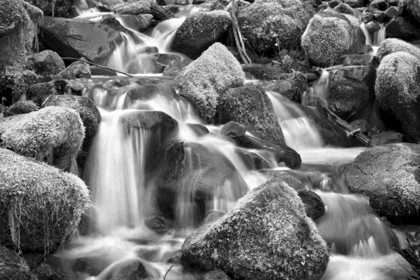 Picture of TRAILSIDE STREAM BW