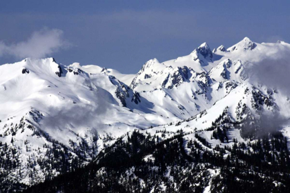Picture of SNOWY OLYMPIC MOUNTAINS