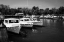 Picture of DEADRISE BOATS