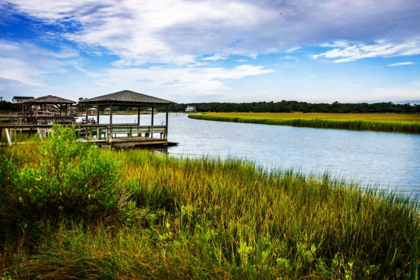 Picture of PAWLEY ISLAND II