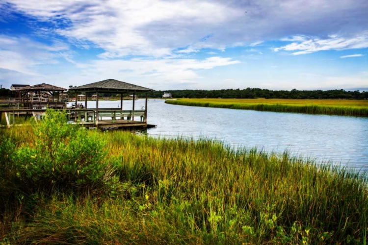 Picture of PAWLEY ISLAND II