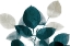 Picture of MIDNIGHT LEAVES 1