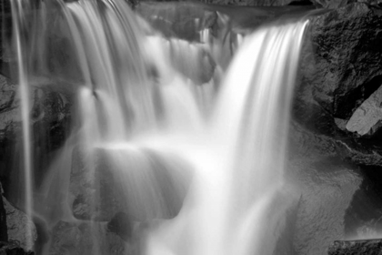 Picture of FALLING WATER I BW