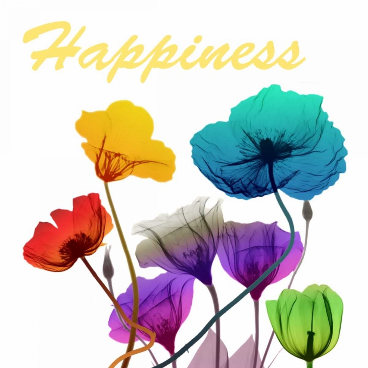 Picture of FLORAL POP HAPPINES