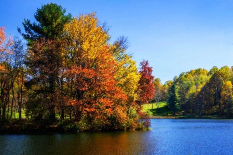 Picture of PEAKS OF OTTER LAKE IV