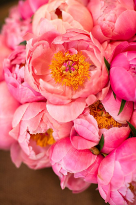 Picture of VARIATIONS OF PINK BOUQUET