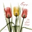 Picture of TULIPS ENJOY THE LITTLE THINGS