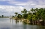 Picture of SMALL HARBOR II