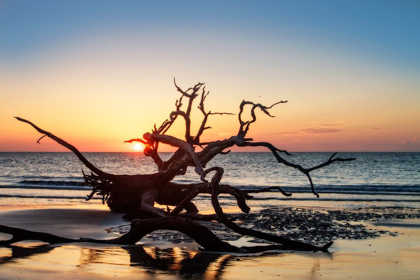 Picture of JEKYLL ISLAND SUNRISE III