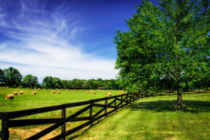 Picture of GREEN SPRINGS FARM I