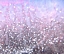 Picture of PINK GLITTER