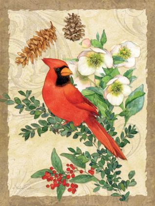 Picture of HOLIDAY CARDINAL