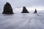 Picture of BANDON