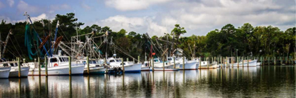 Picture of WHITE POINT HARBOR