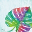 Picture of PRISM PALM II